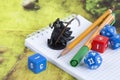 Playing Dungeons and Dragons, role playing game, dnd, throwing dices Royalty Free Stock Photo